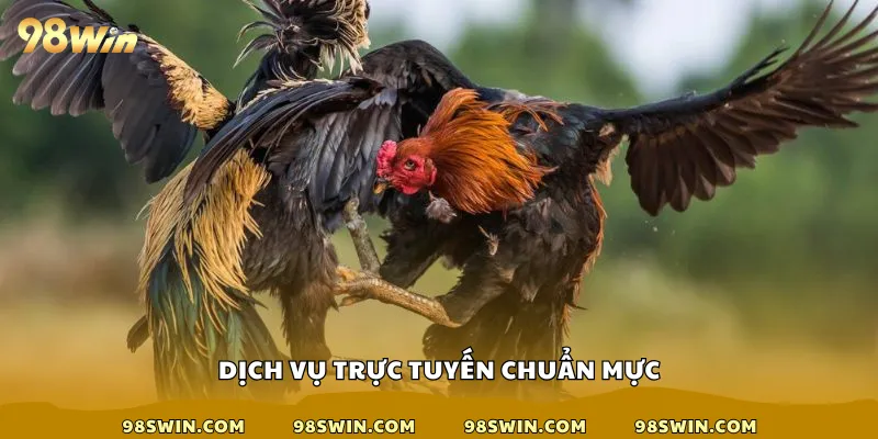 Dịch vụ trực tuyến chuẩn mực